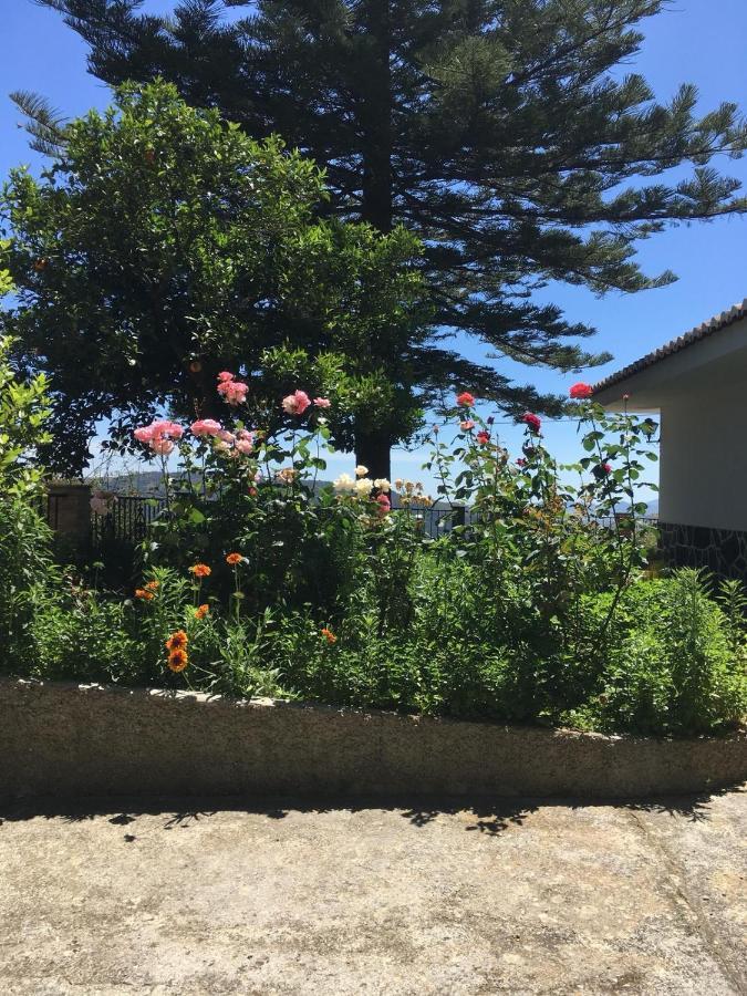 Casa Paca Perea Villa Málaga Eksteriør billede